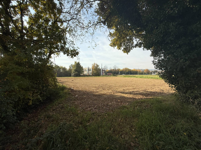 Terreno agricolo in vendita a Manerba Del Garda (BS)