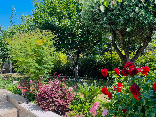 Foto immobile