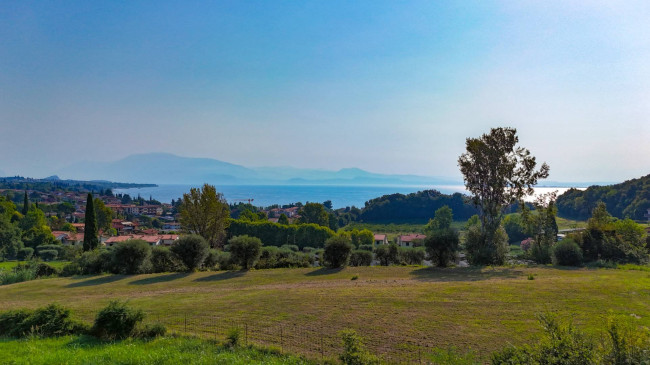Immobilien-Miniaturbild