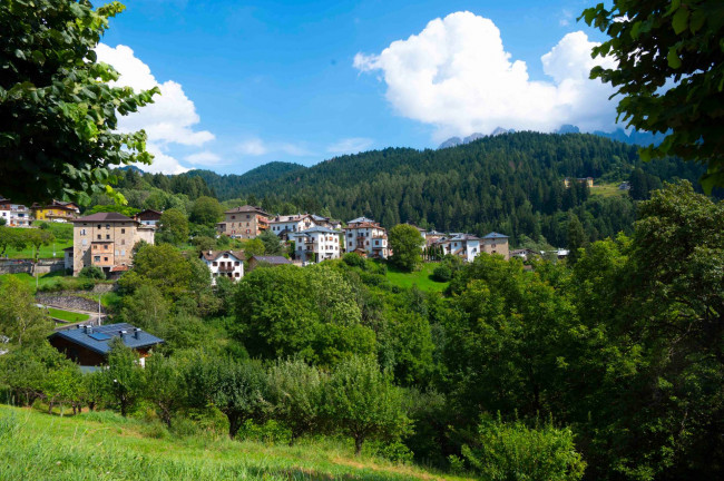 Appartamento in vendita a Lorenzago di Cadore