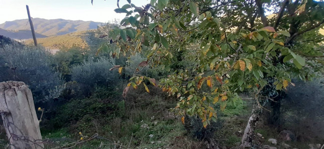 Terreno edificabile in vendita a Sambuci (RM)