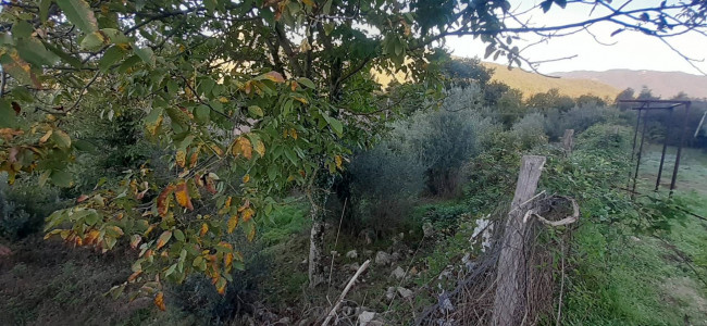 Terreno edificabile in vendita a Sambuci (RM)