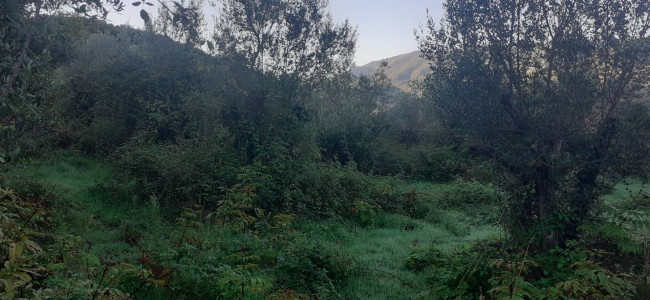 Terreno edificabile in vendita a Sambuci (RM)