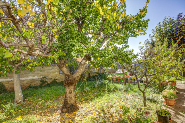 Appartamento in vendita a Ladispoli