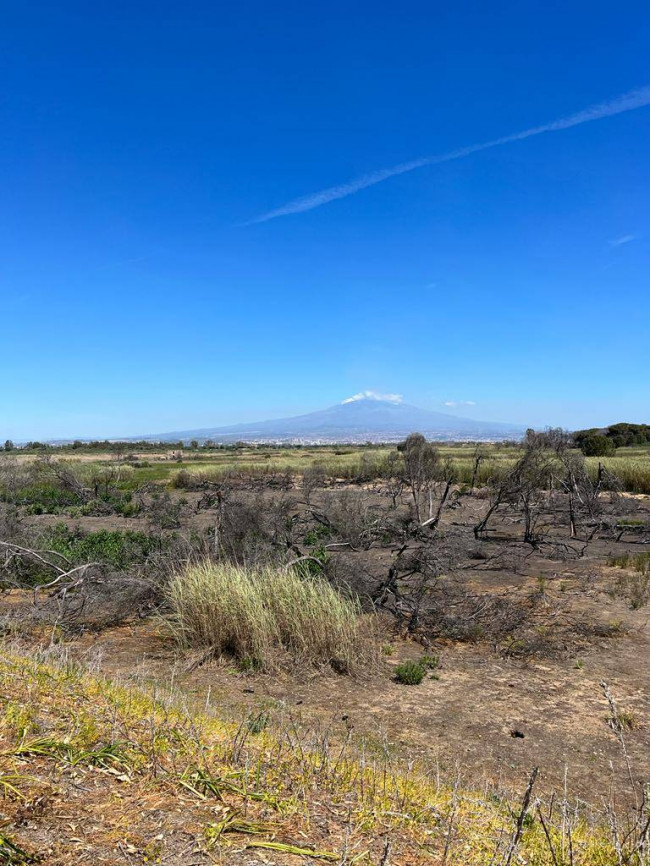 Villa singola in vendita a Catania