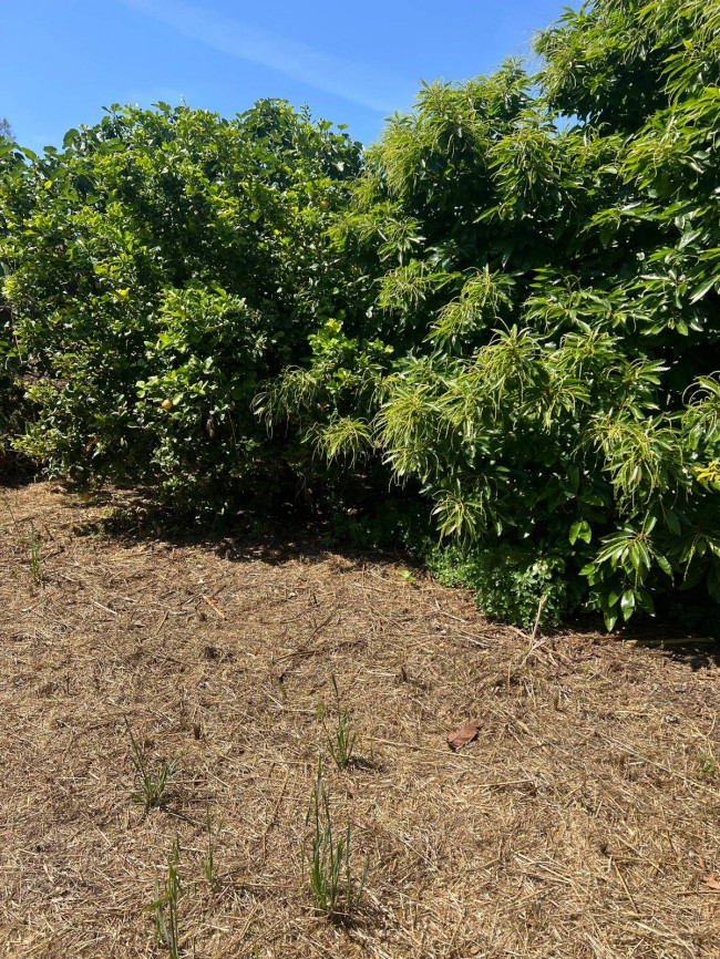 Terreno in vendita a San Giovanni la Punta