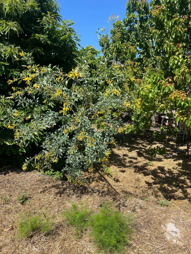 Terreno in vendita a San Giovanni la Punta