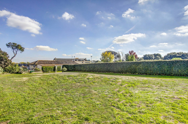 Attività Commerciale in vendita a Roma