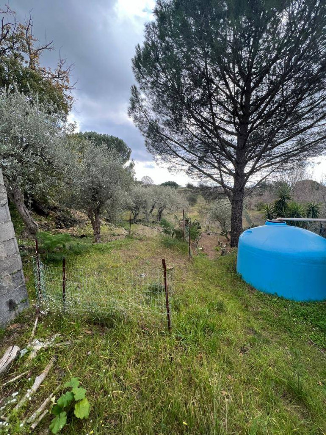 Rustico in vendita a Belpasso