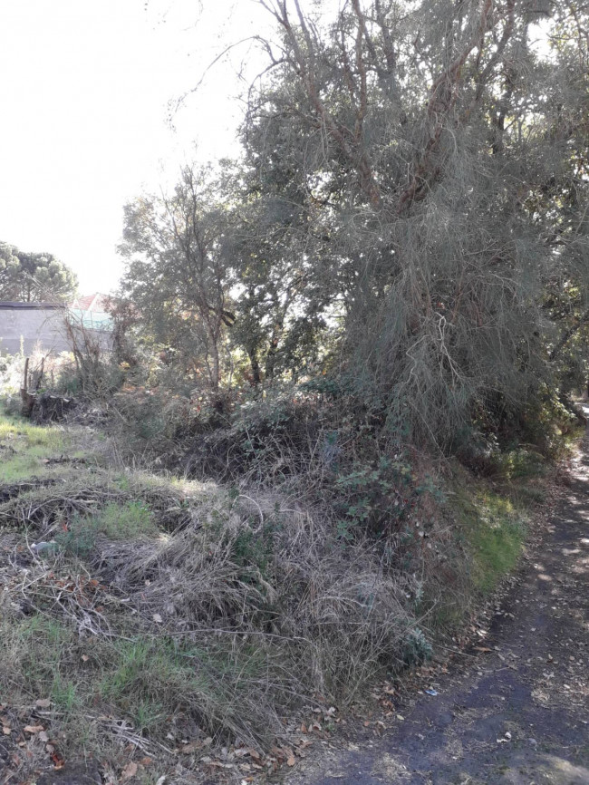 Terreno in vendita a Nicolosi