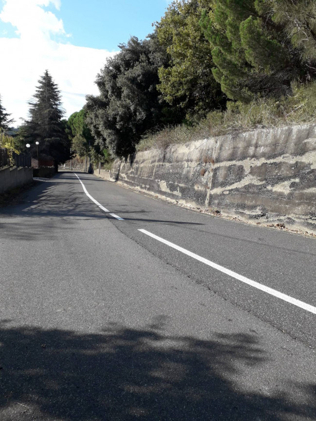 Terreno in vendita a Nicolosi