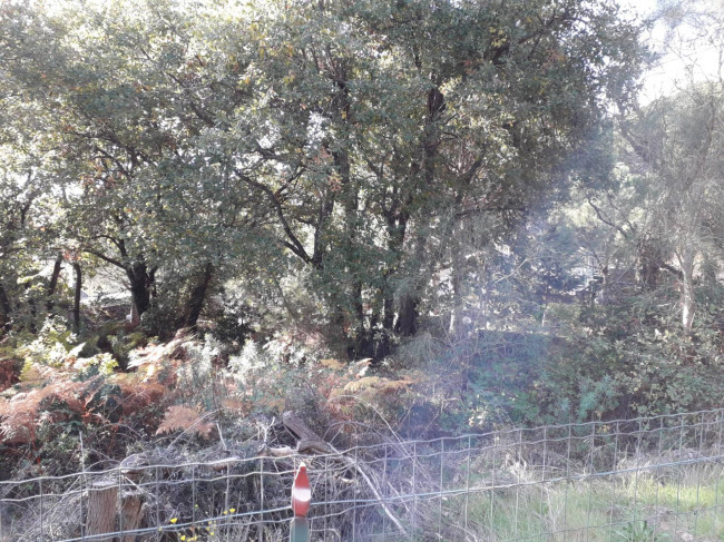 Terreno in vendita a Nicolosi