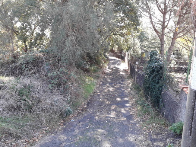 Terreno in vendita a Nicolosi