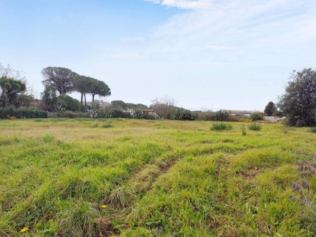 Terreno Edificabile in vendita a Anzio