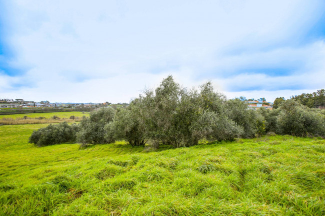 Terreno in vendita a Roma