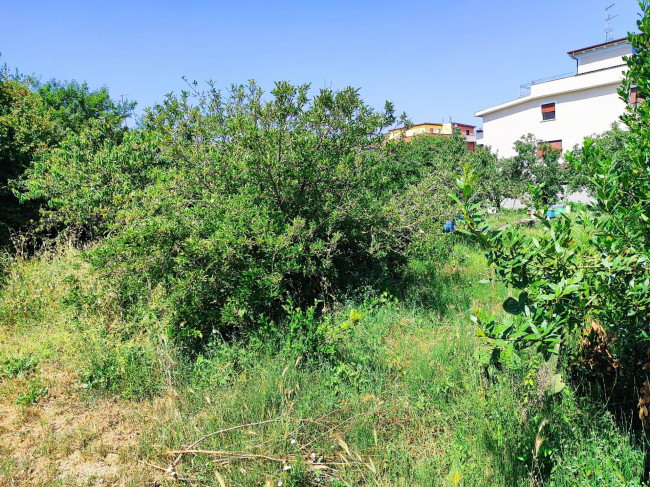 Terreno Edificabile in vendita a Roma