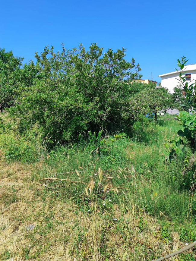 Terreno Edificabile in vendita a Roma