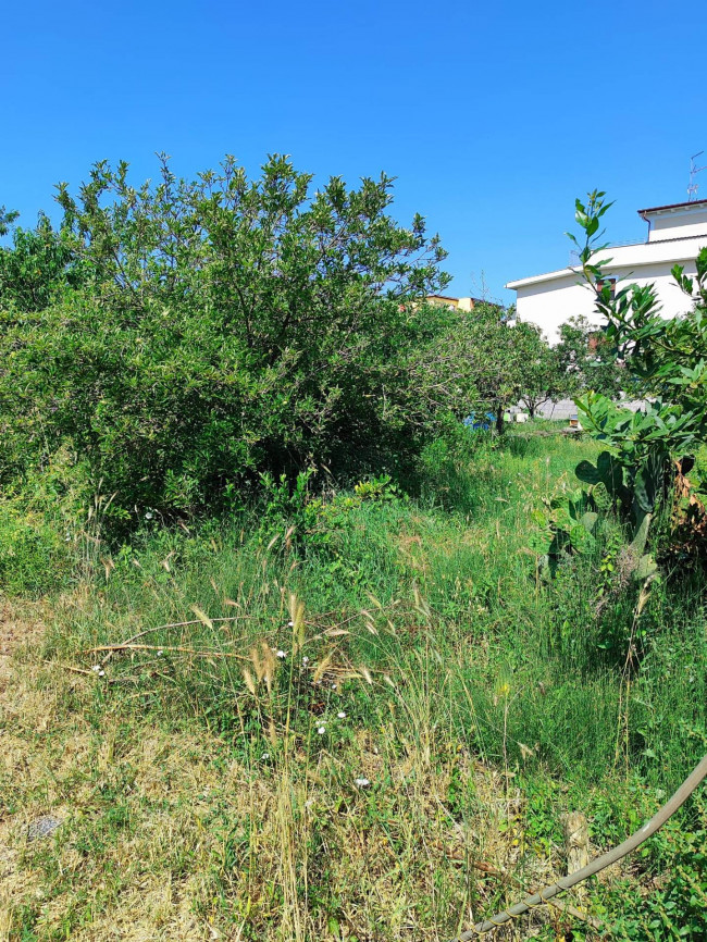 Terreno Edificabile in vendita a Roma