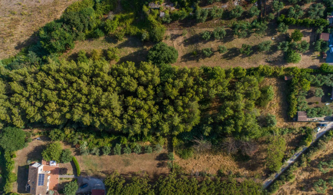 Terreno Edificabile in vendita a Formello