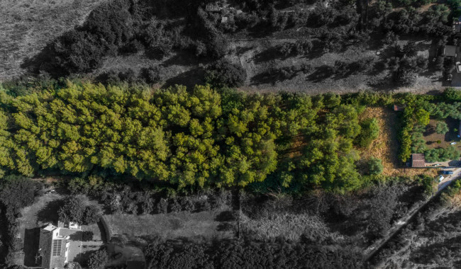 Terreno Edificabile in vendita a Formello
