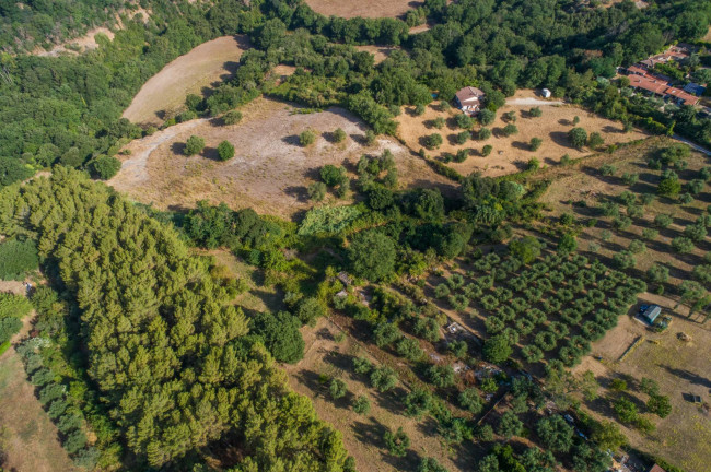 Terreno Edificabile in vendita a Formello