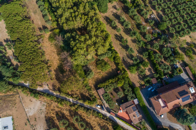Terreno Edificabile in vendita a Formello