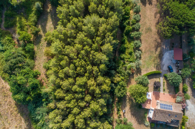 Terreno Edificabile in vendita a Formello