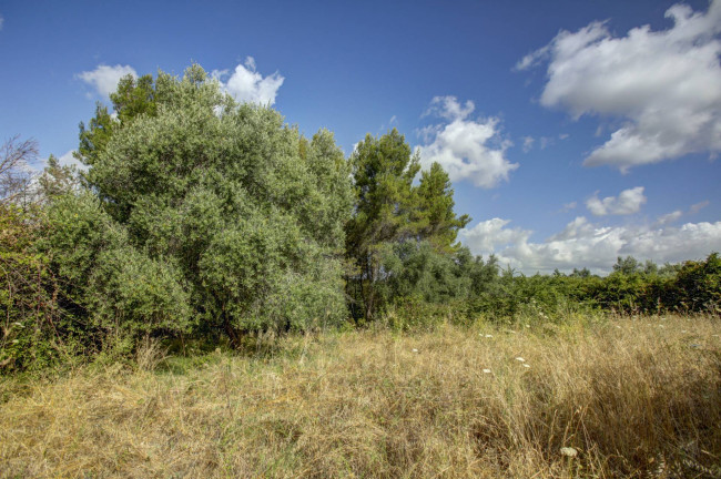 Terreno Edificabile in vendita a Formello