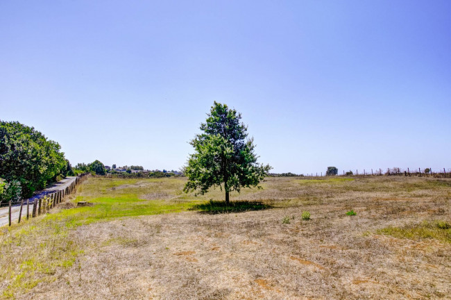 Villa singola in vendita a Pomezia