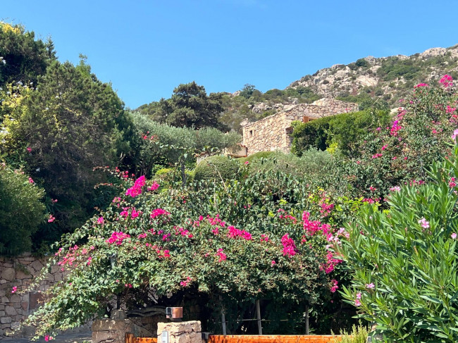 Villa singola in vendita a Arzachena