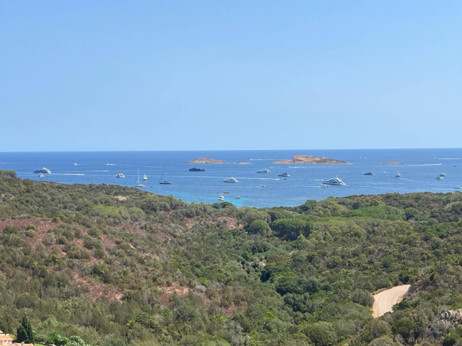 Villa singola in vendita a Arzachena