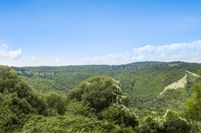 Casa Indipendente in vendita a Soriano nel Cimino