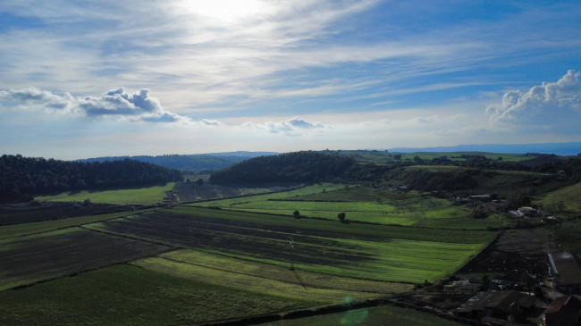 Villa singola in vendita a Campagnano di Roma