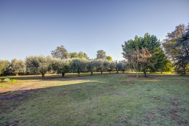 Cascina/Casale in vendita a Pomezia
