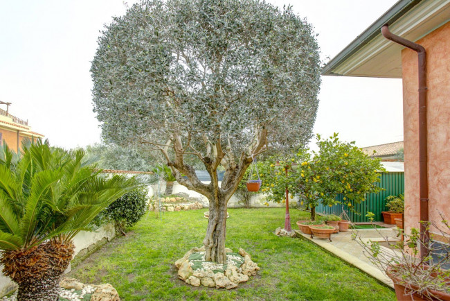 Villa in vendita a Ardea