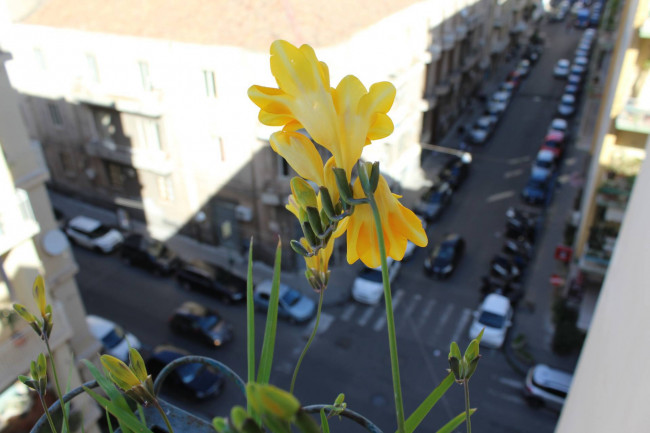 Stanza in affitto a Catania