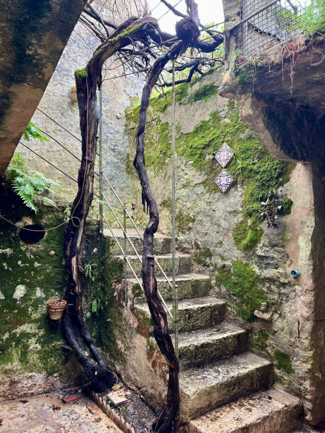 Casa Indipendente in vendita a Erice