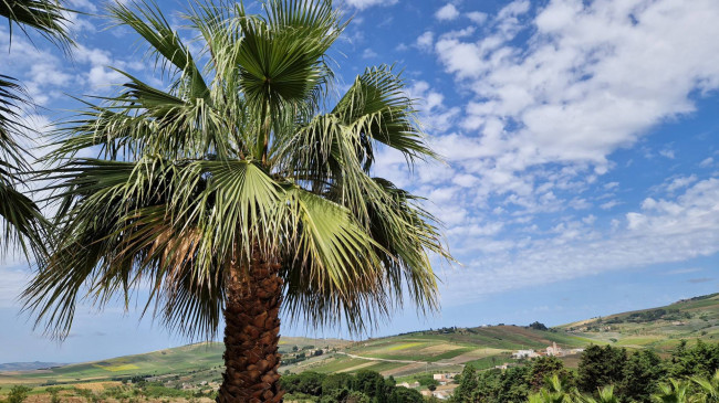 Appartamento in vendita a Custonaci