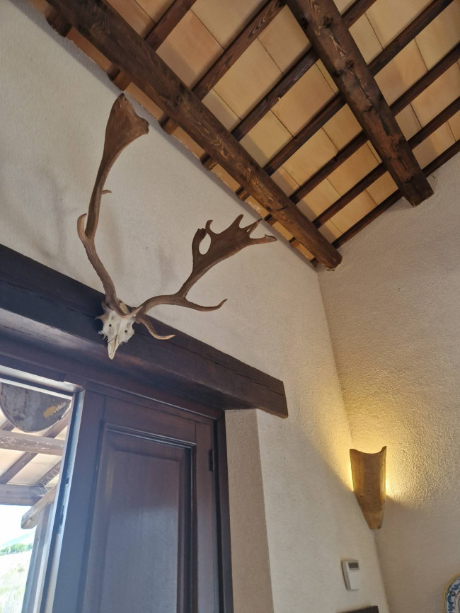 Cascina/Casale in vendita a Castellammare del Golfo