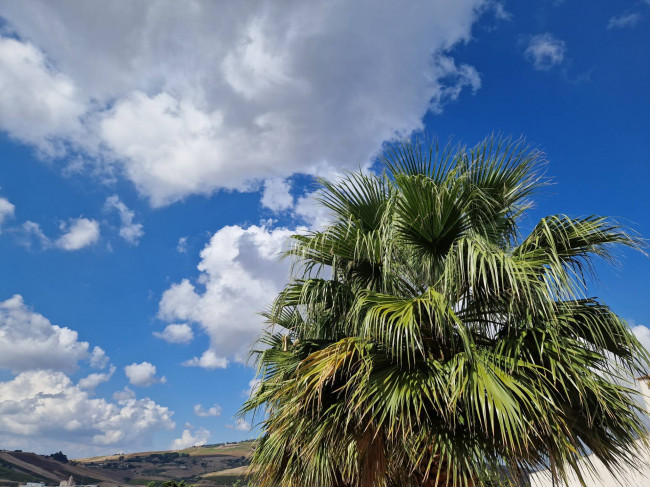 Cascina/Casale in vendita a Castellammare del Golfo