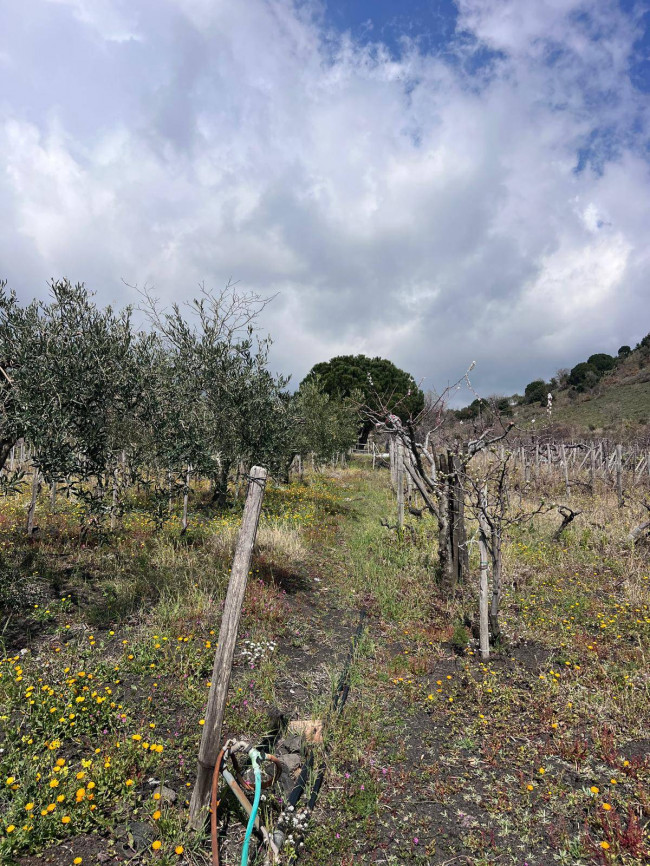 Terreno in vendita a Trecastagni