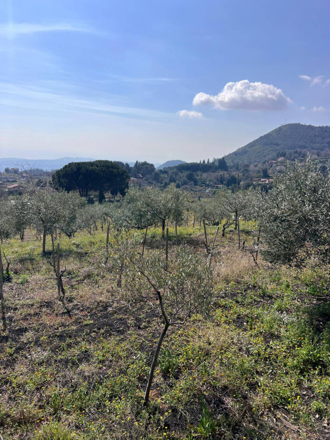 Terreno in vendita a Trecastagni