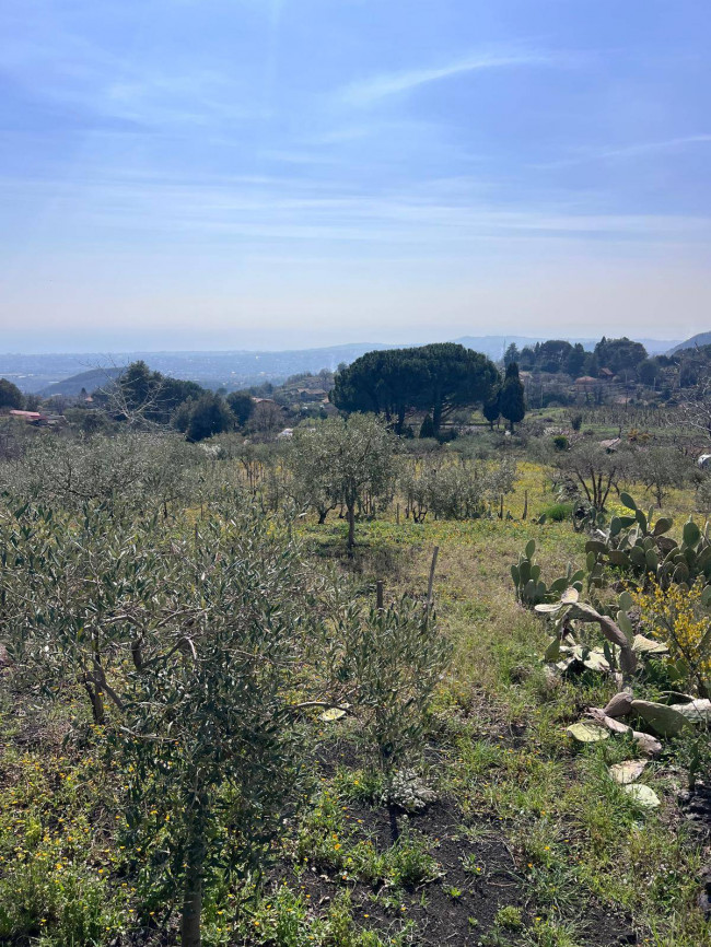 Terreno in vendita a Trecastagni