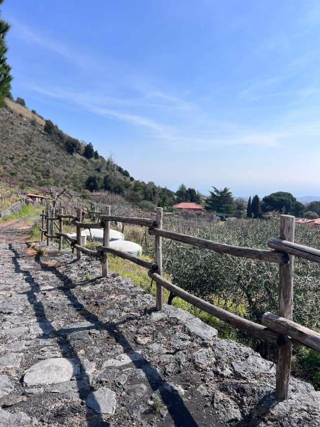 Terreno in vendita a Trecastagni