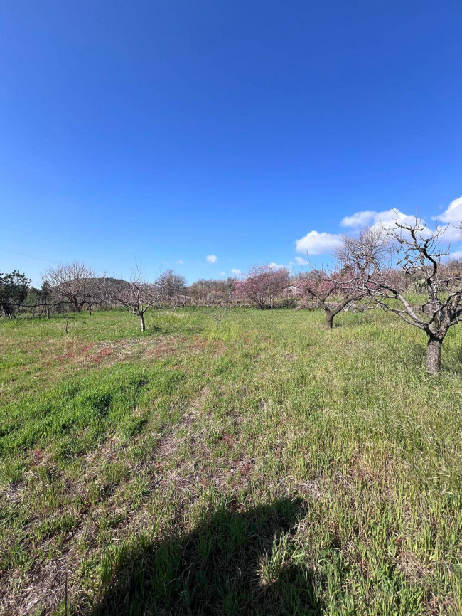 Terreno in vendita a Trecastagni