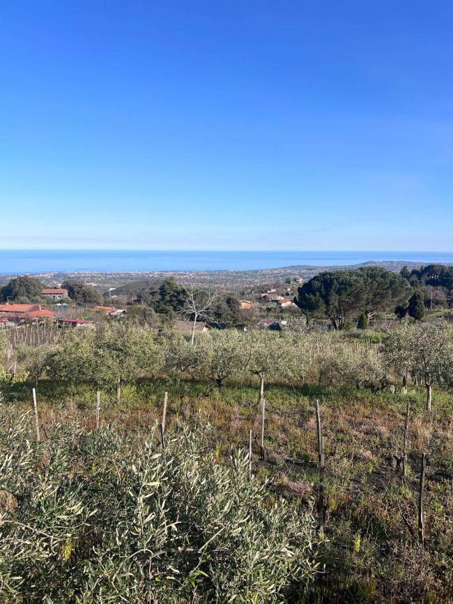 Terreno in vendita a Trecastagni