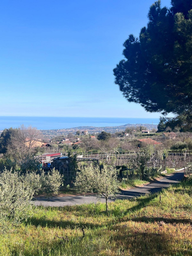 Terreno in vendita a Trecastagni