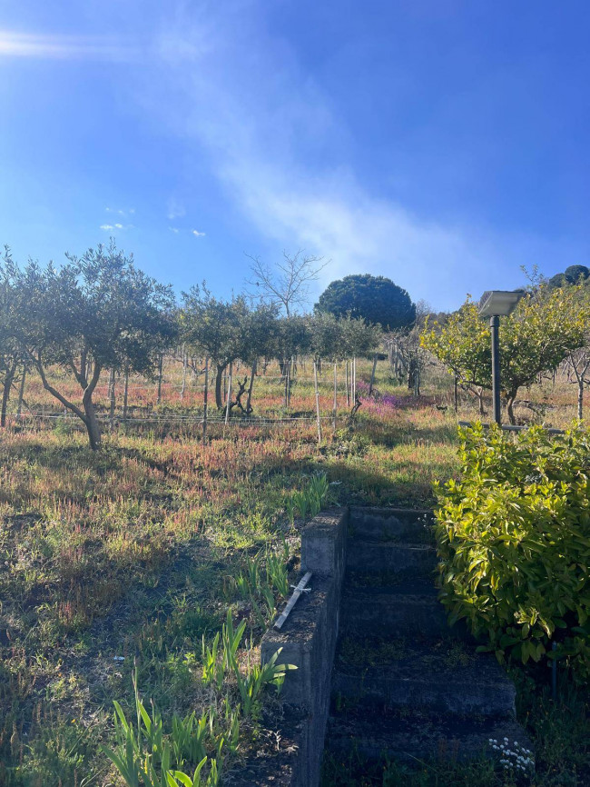 Terreno in vendita a Trecastagni