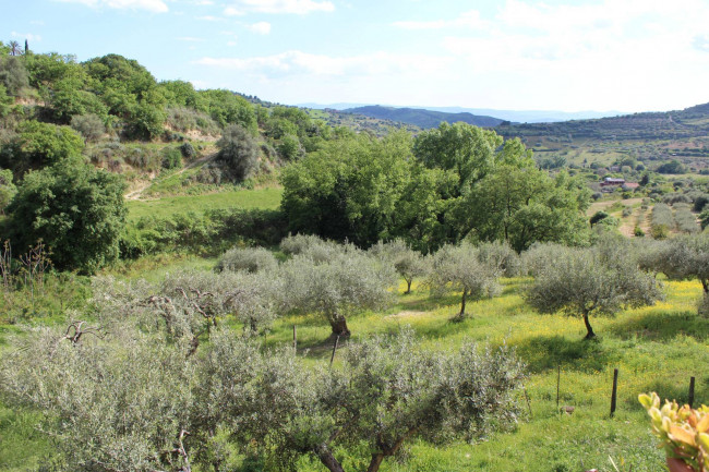 Villa singola in vendita a Agira