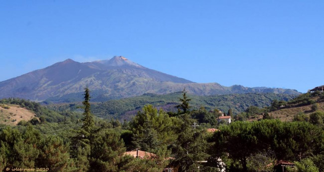Rustico in vendita a Pedara